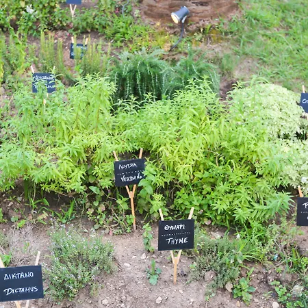 Mandraki Village Boutique Hotel