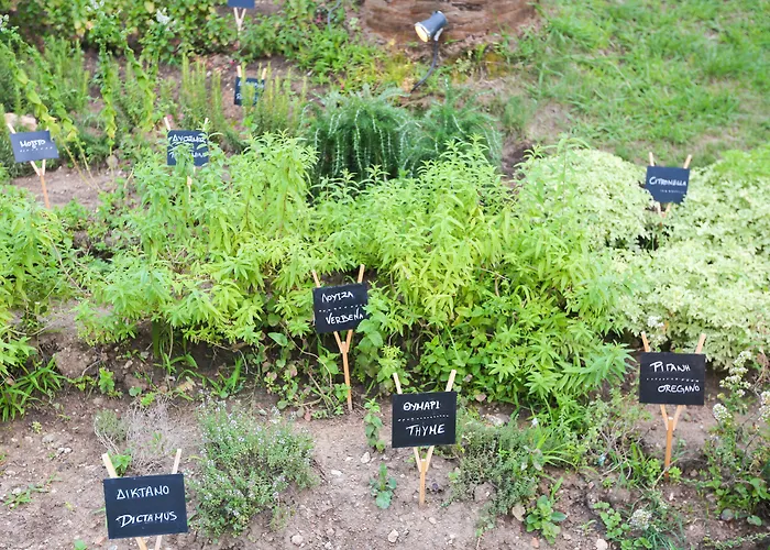 Mandraki Village Boutique Ξενοδοχείο